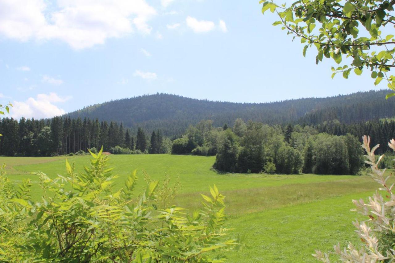 Ferienwohnungen Holzferienhaeuser Leithenwald Zwiesel Exterior photo