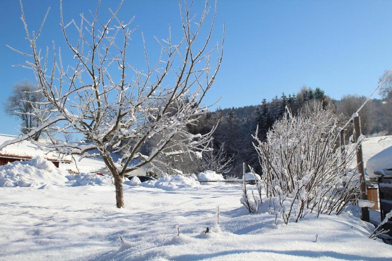 Ferienwohnungen Holzferienhaeuser Leithenwald Zwiesel Exterior photo